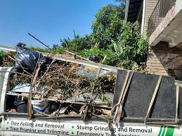 Professional Junk Removal in Buena Park, CA